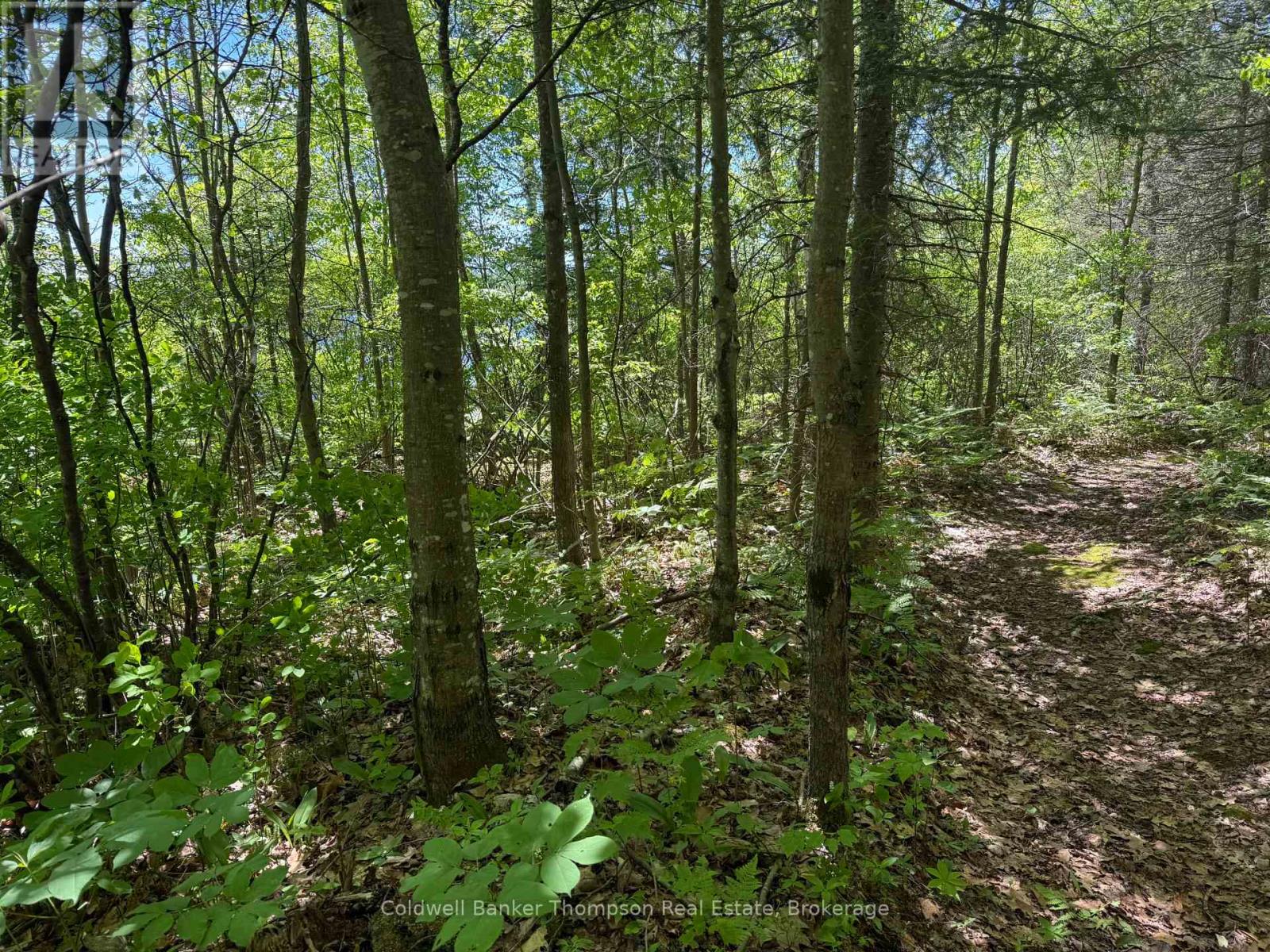 0 Beaver Lane, Nipissing, Ontario  P0H 1W0 - Photo 5 - X12825848