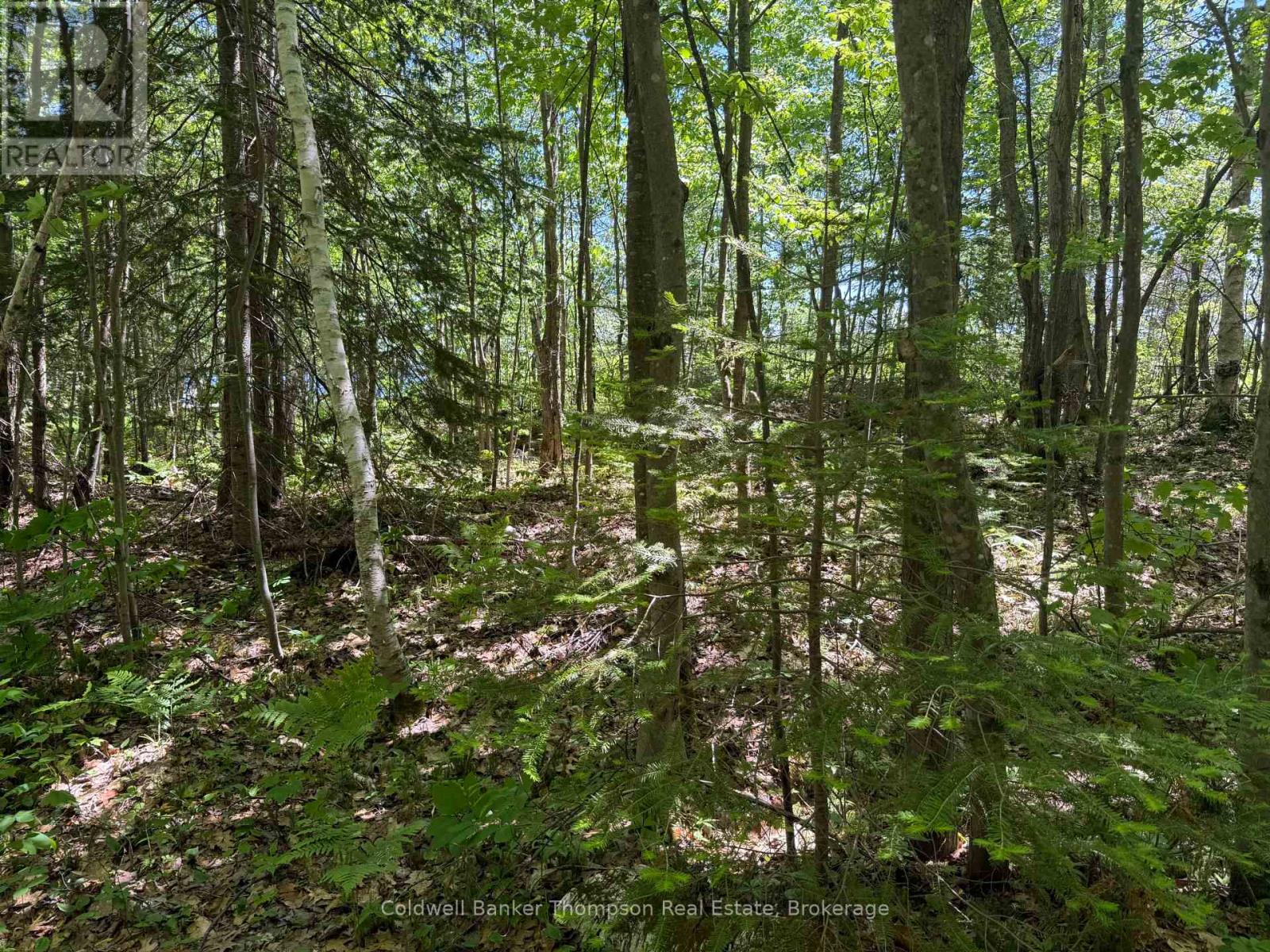 0 Beaver Lane, Nipissing, Ontario  P0H 1W0 - Photo 7 - X12825848
