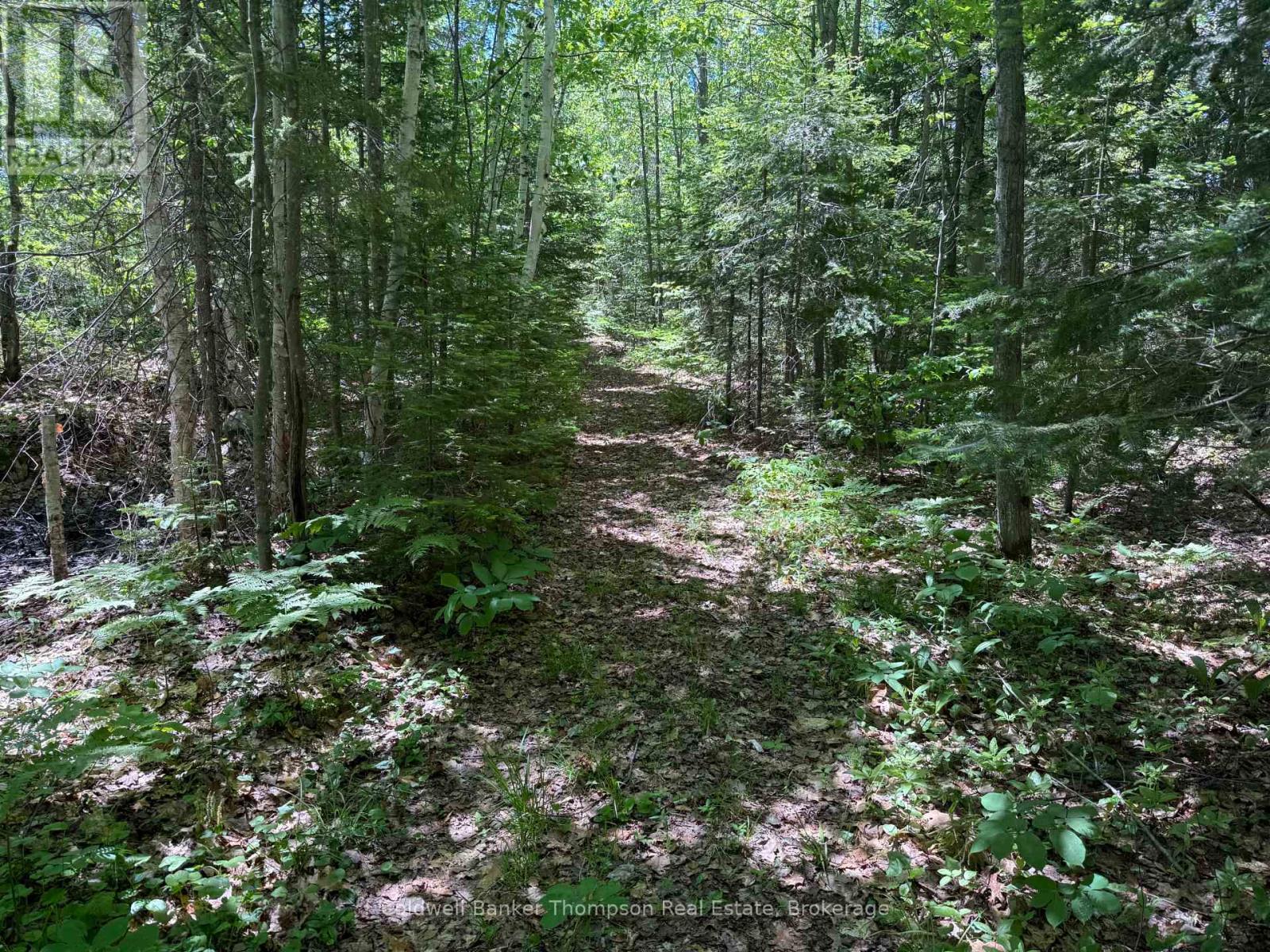 0 Beaver Lane, Nipissing, Ontario  P0H 1W0 - Photo 9 - X12825848