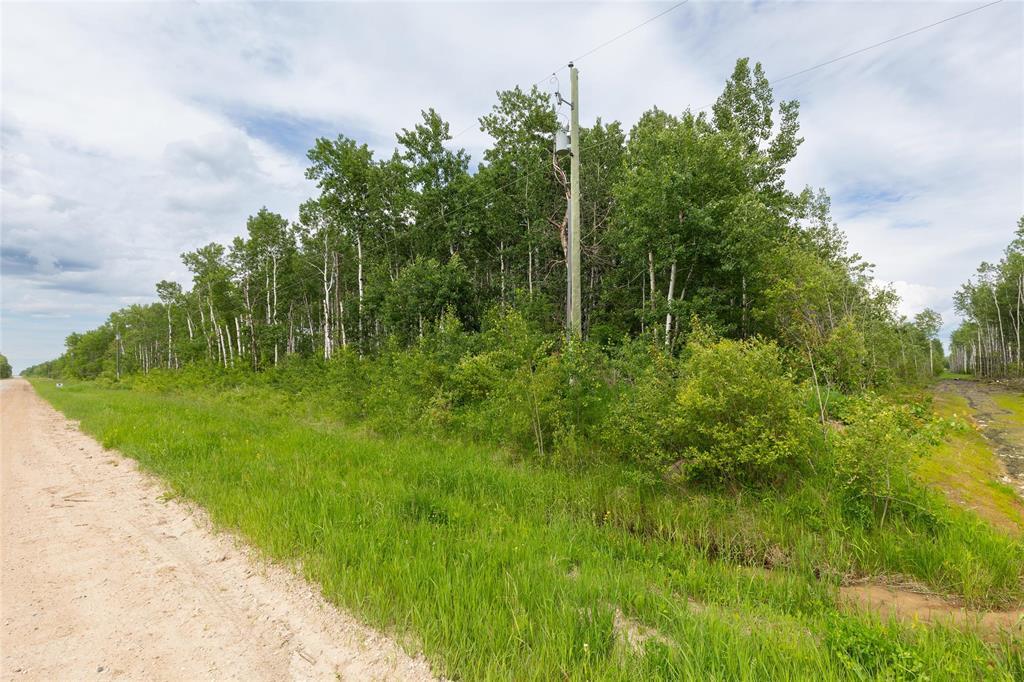 1 39139 Road 41e Road, La Broquerie, Manitoba  R0A 0W0 - Photo 5 - 202610067