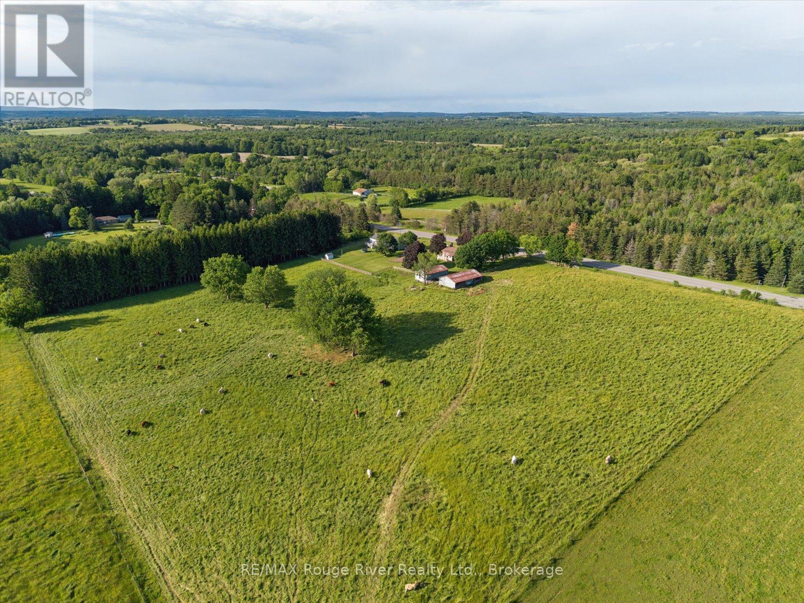 3714 Newtonville Road, Clarington, Ontario  L0A 1J0 - Photo 38 - E13456464