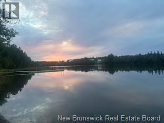 194 Albe, Saint-Charles, New Brunswick  E4W 4K3 - Photo 10 - NB142137