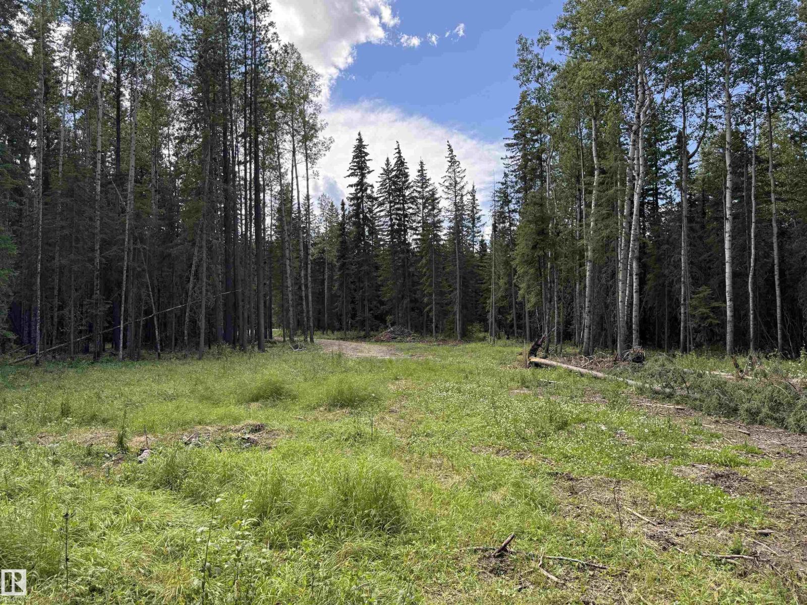 Rr171 North Of Hwy 748, Rural Yellowhead, Alberta  T7E 3L1 - Photo 10 - E4494106