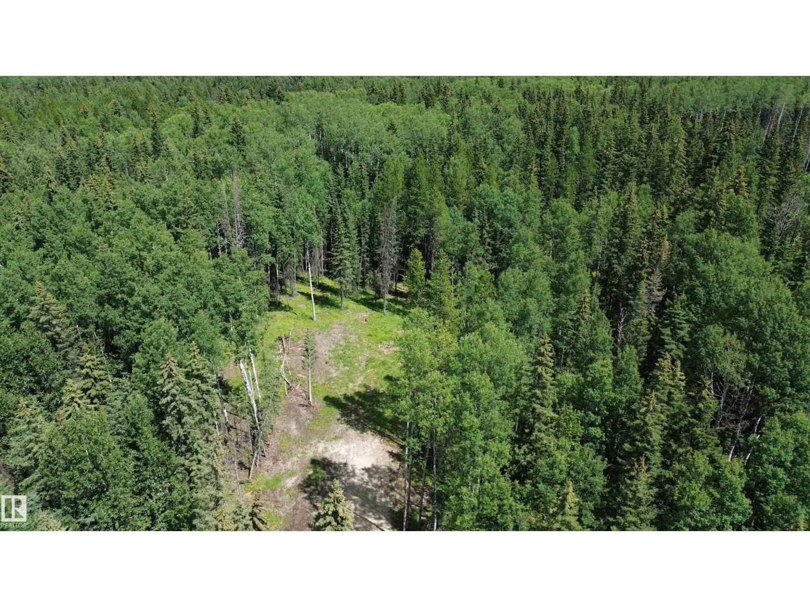 Rr171 North Of Hwy 748, Rural Yellowhead, Alberta  T7E 3L1 - Photo 4 - E4494106