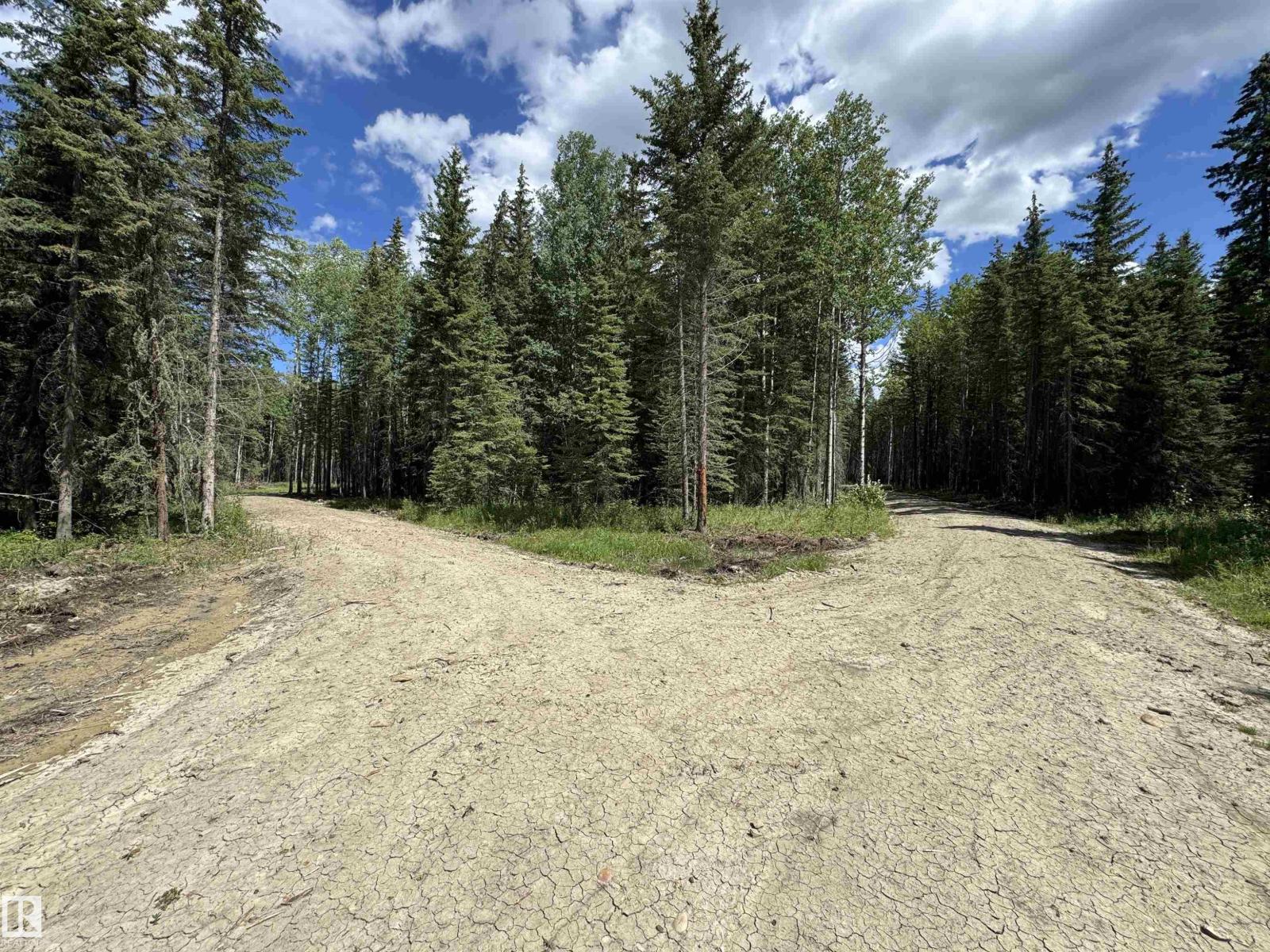 Rr171 North Of Hwy 748, Rural Yellowhead, Alberta  T7E 3L1 - Photo 8 - E4494106