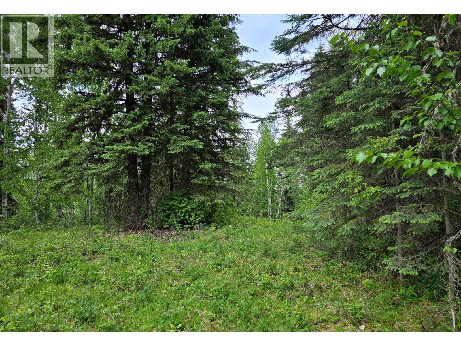 Lot 9 Dl8982 Day Road, Horsefly, British Columbia  V0L 1L0 - Photo 4 - R3135693