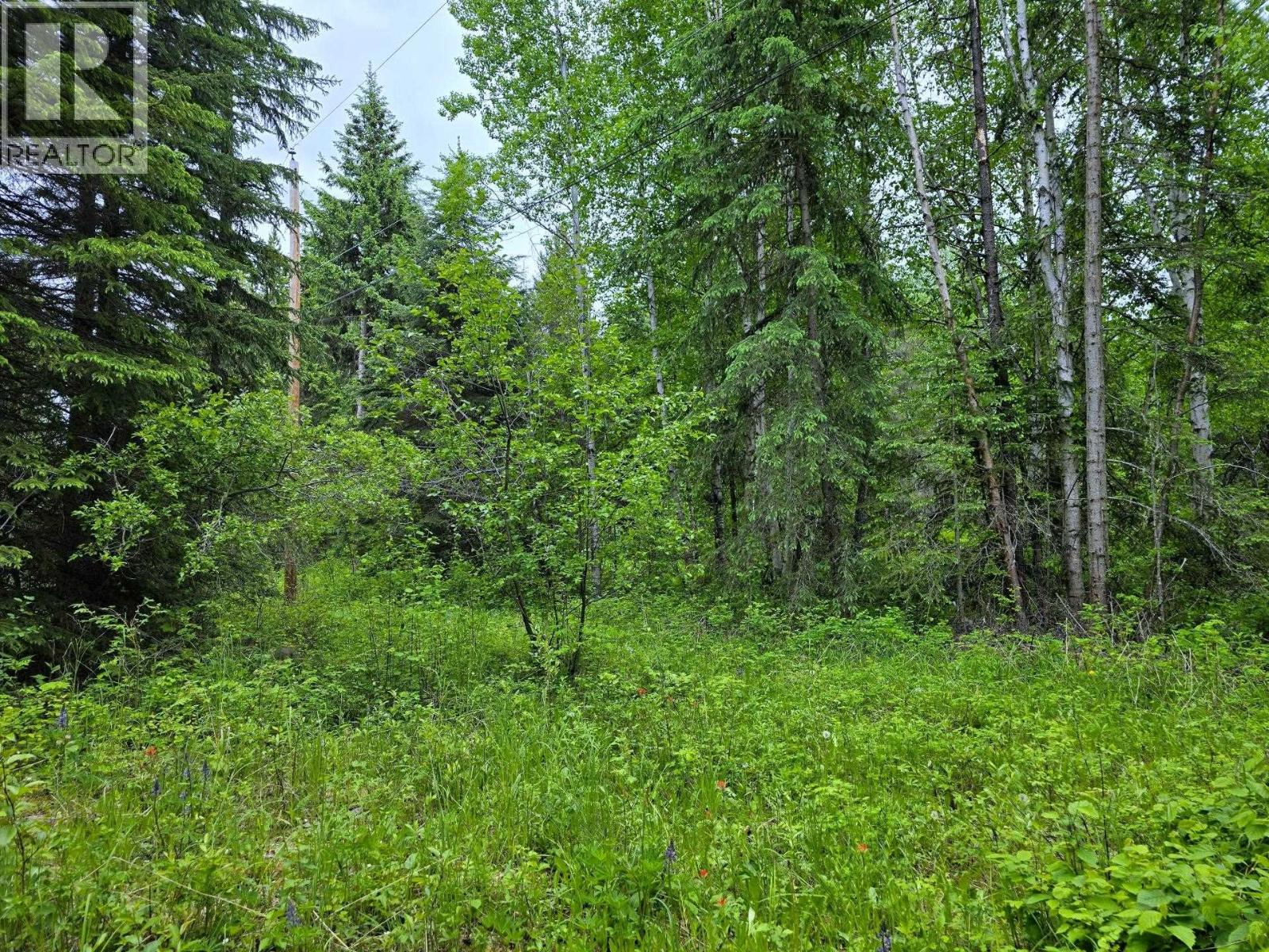 Lot 9 Dl8982 Day Road, Horsefly, British Columbia  V0L 1L0 - Photo 11 - R3135693