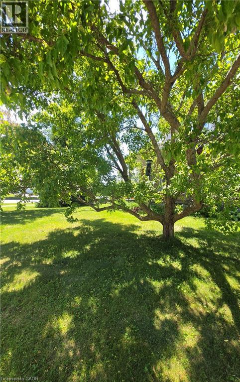 249 Wilderness Drive, Kitchener, Ontario  N2E 3R4 - Photo 47 - 40840764