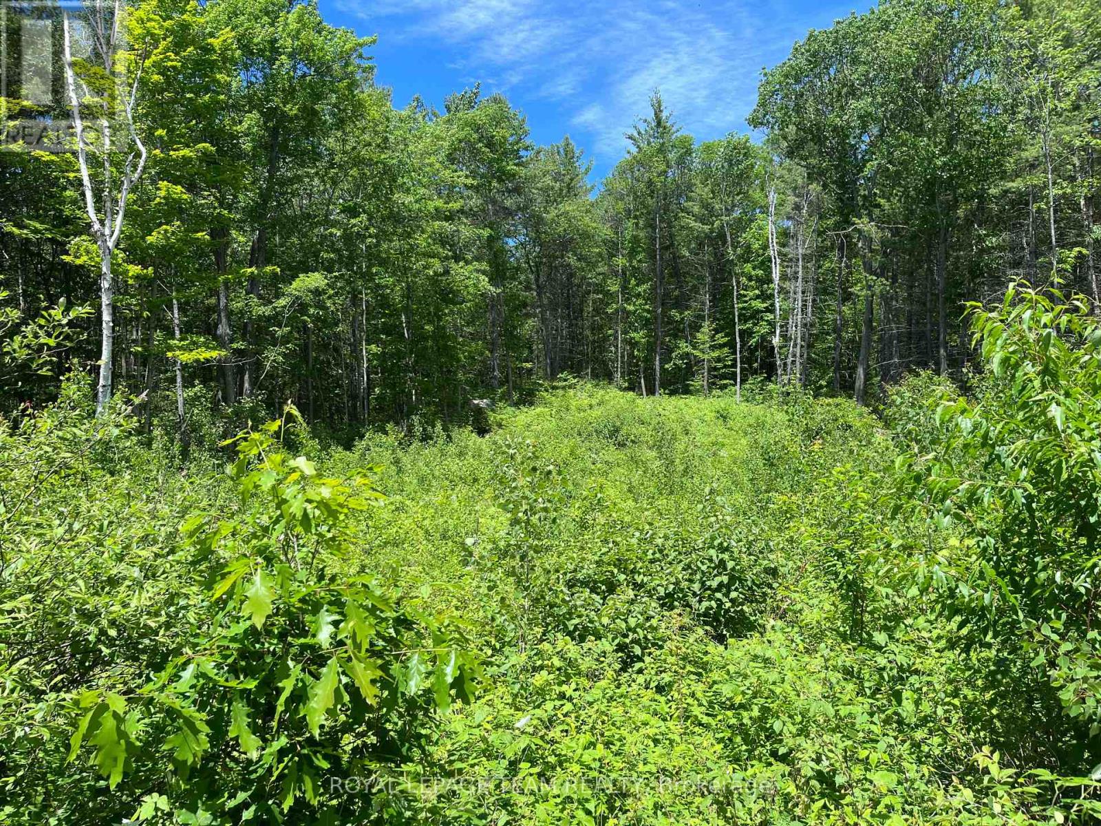 695 Long Lake Road, Madawaska Valley, Ontario  K0J 1B0 - Photo 3 - X13456612
