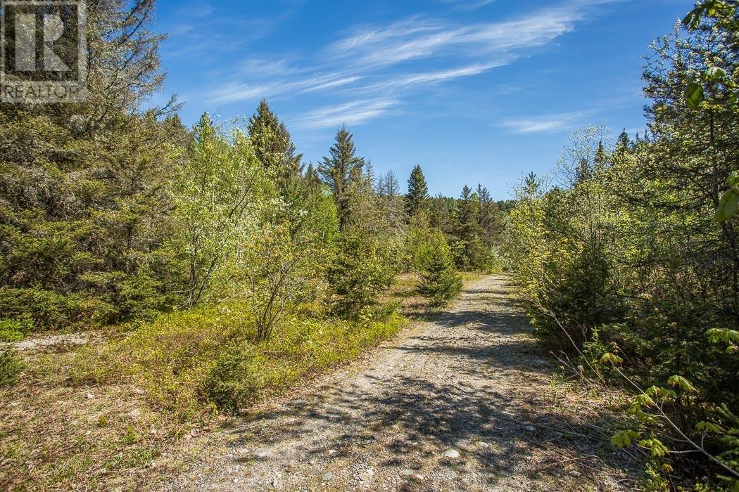 1416 Highway 532, Unorganized, Searchmont, Ontario  P0S 1J0 - Photo 13 - SM261416