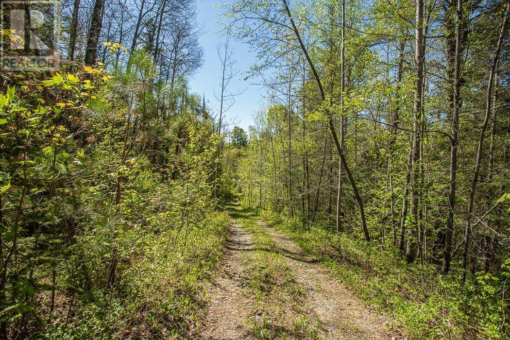 1416 Highway 532, Unorganized, Searchmont, Ontario  P0S 1J0 - Photo 20 - SM261416