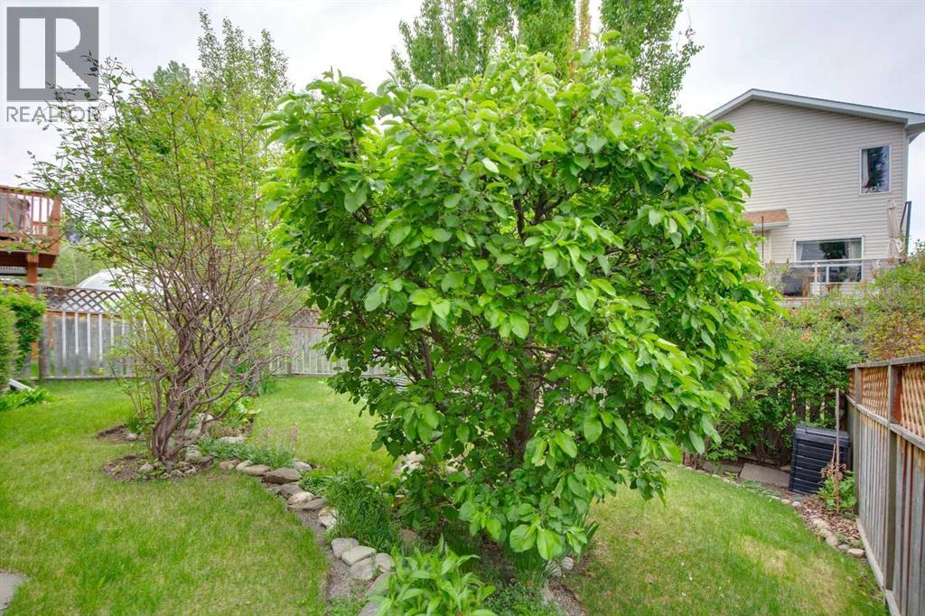 23 Tuscarora Close Nw, Calgary, Alberta  T3L 2B7 - Photo 38 - A2317670