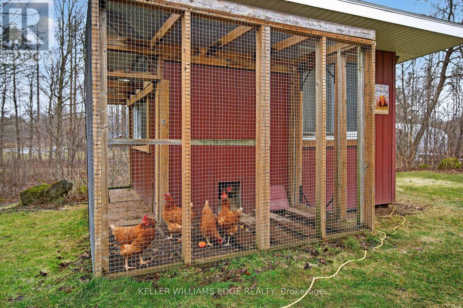 484 11th Concession Road E, Hamilton, Ontario  L8B 1J1 - Photo 43 - X12893766