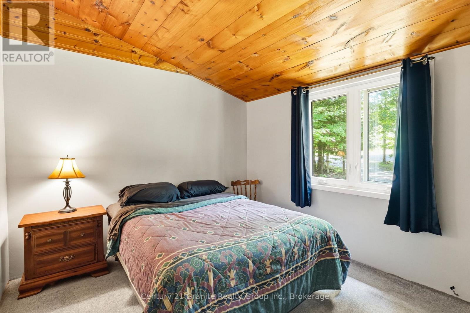1069 Rice Road, Minden Hills, Ontario  K0M 1K0 - Photo 15 - X13456868