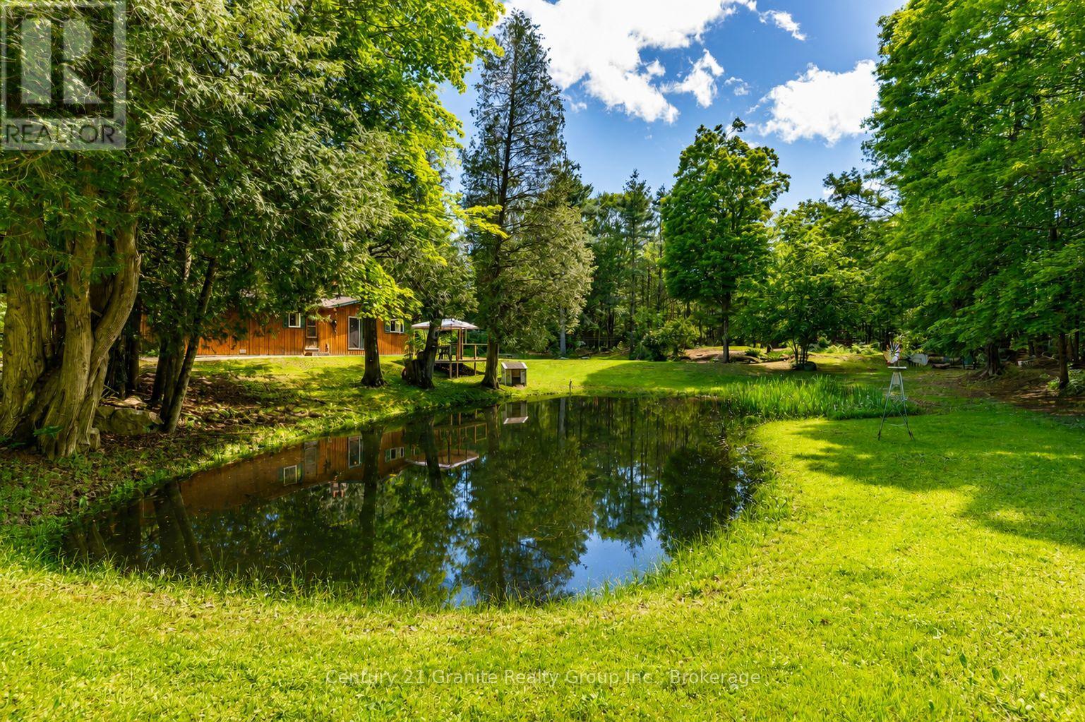1069 Rice Road, Minden Hills, Ontario  K0M 1K0 - Photo 5 - X13456868