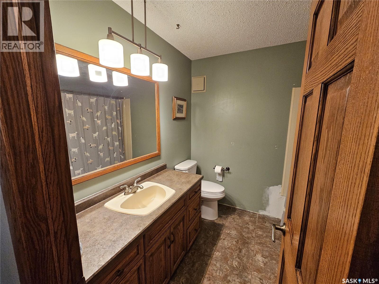 206 W 1st Street, Alida, Saskatchewan  S0C 0B0 - Photo 35 - SK039748