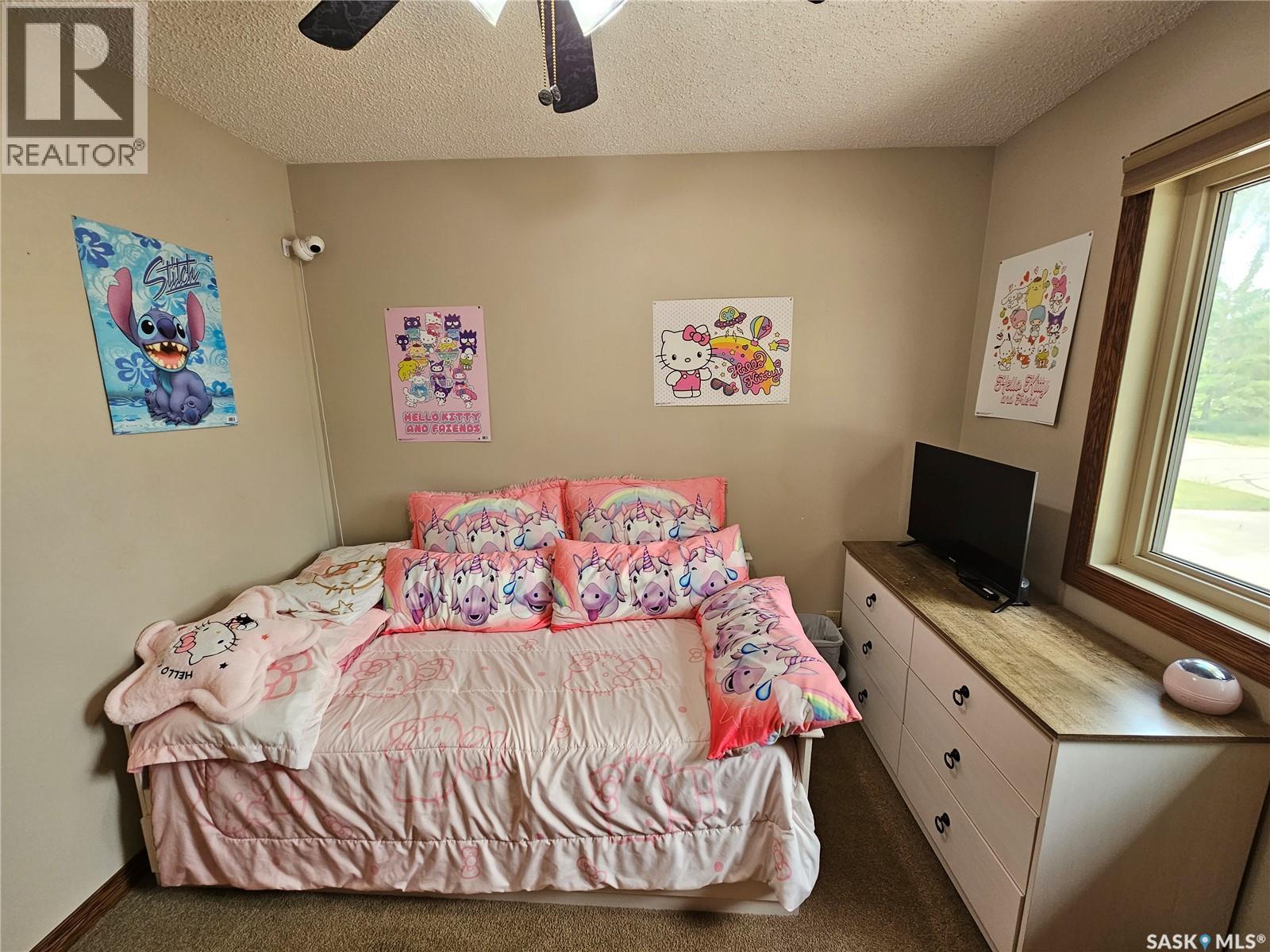206 W 1st Street, Alida, Saskatchewan  S0C 0B0 - Photo 37 - SK039748