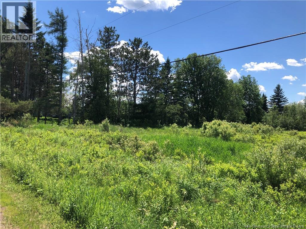 Lot Route 112, Colpitts Settlement, New Brunswick  E4J 2Z1 - Photo 10 - NB142026