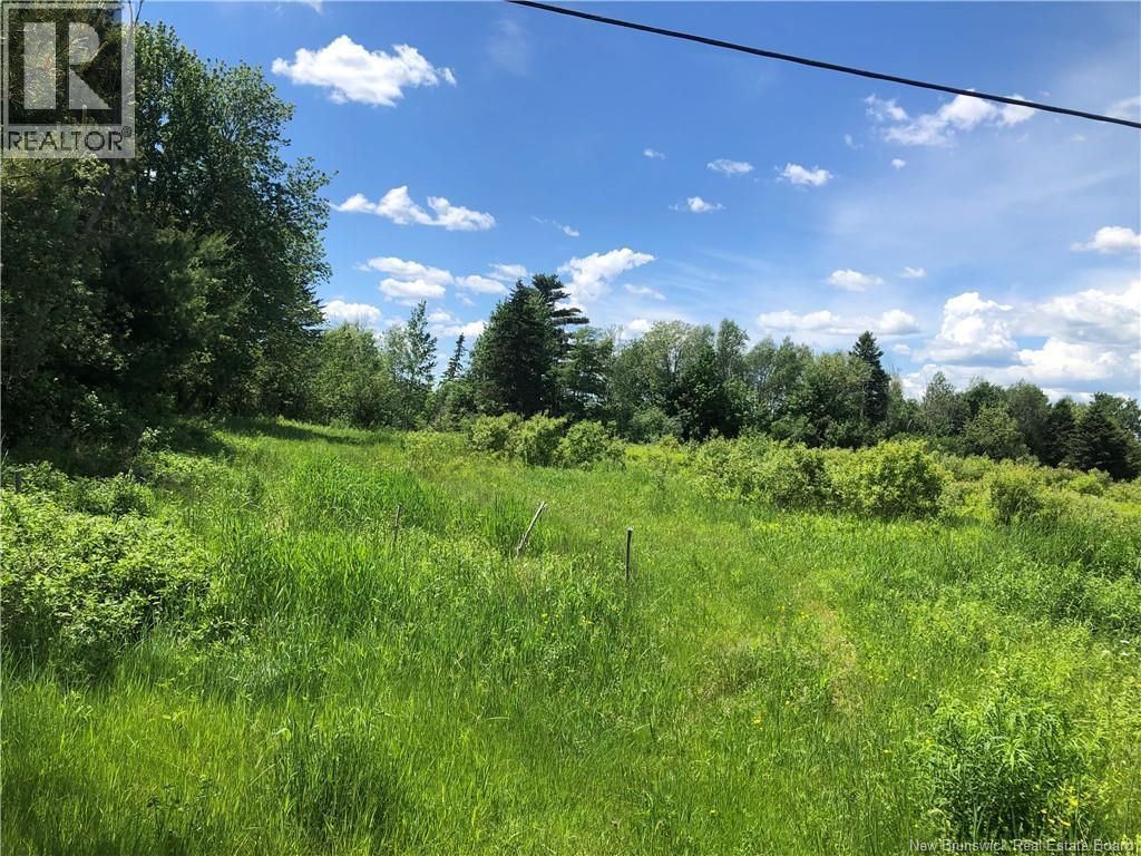 Lot Route 112, Colpitts Settlement, New Brunswick  E4J 2Z1 - Photo 12 - NB142026