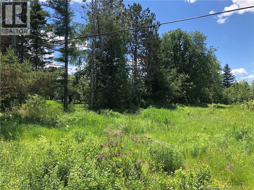Lot Route 112, Colpitts Settlement, New Brunswick  E4J 2Z1 - Photo 13 - NB142026