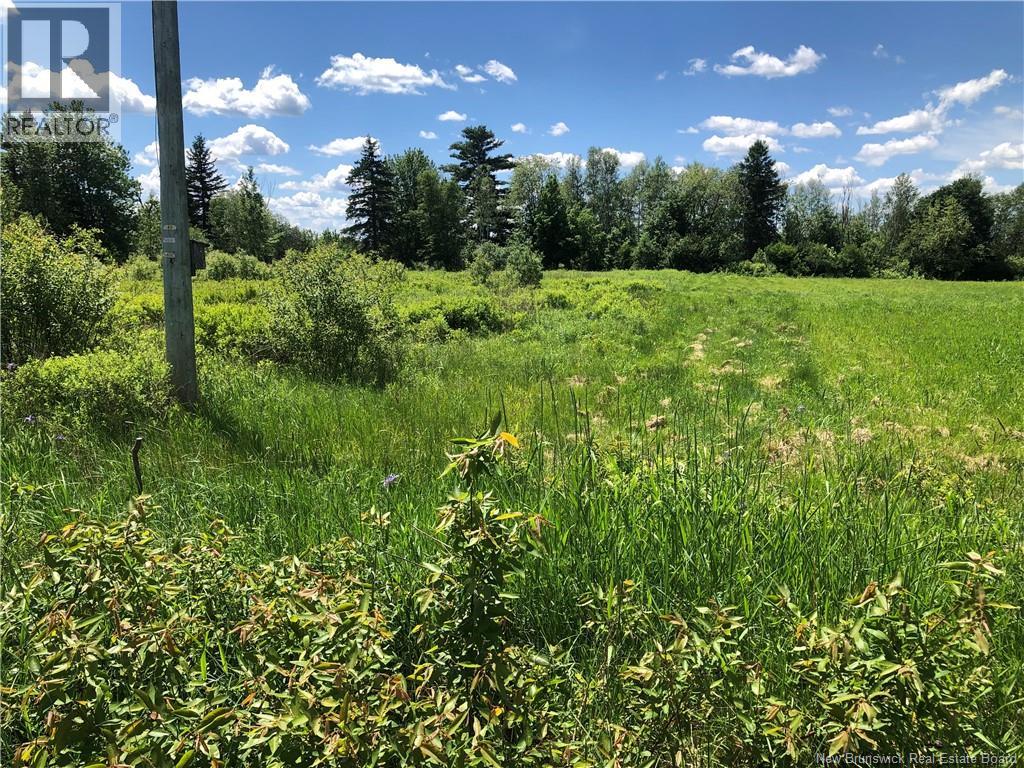 Lot Route 112, Colpitts Settlement, New Brunswick  E4J 2Z1 - Photo 7 - NB142026
