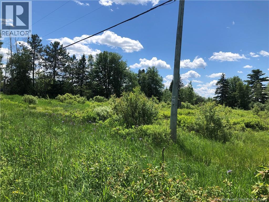 Lot Route 112, Colpitts Settlement, New Brunswick  E4J 2Z1 - Photo 8 - NB142026