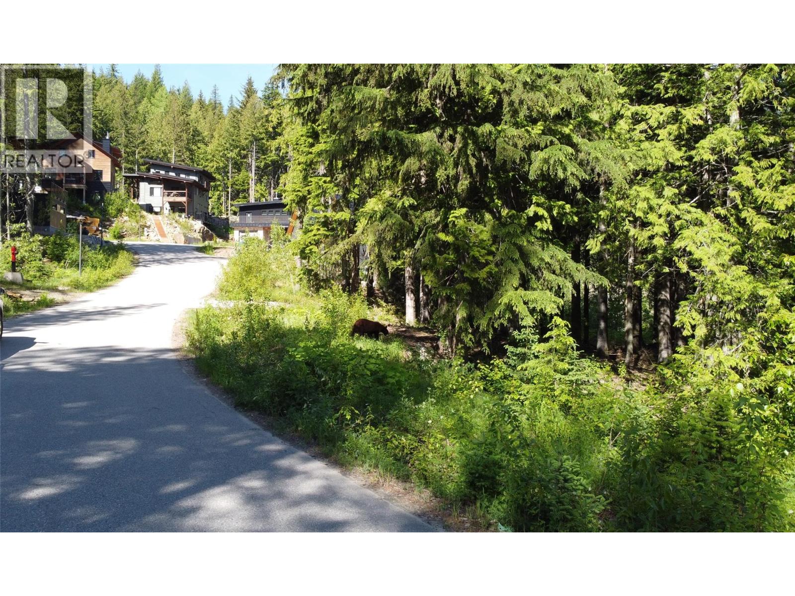 211 Cedar Creek Place, Rossland, British Columbia  V0G 1Y0 - Photo 15 - 10391402