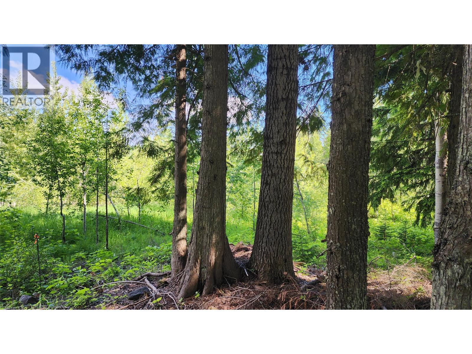 211 Cedar Creek Place, Rossland, British Columbia  V0G 1Y0 - Photo 9 - 10391402