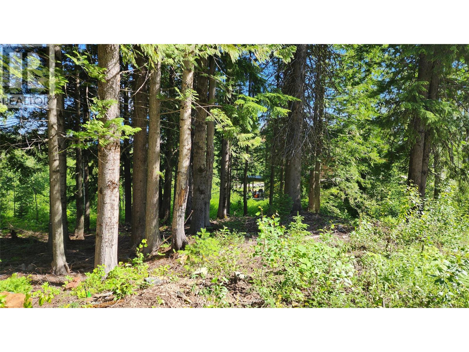 211 Cedar Creek Place, Rossland, British Columbia  V0G 1Y0 - Photo 5 - 10391402