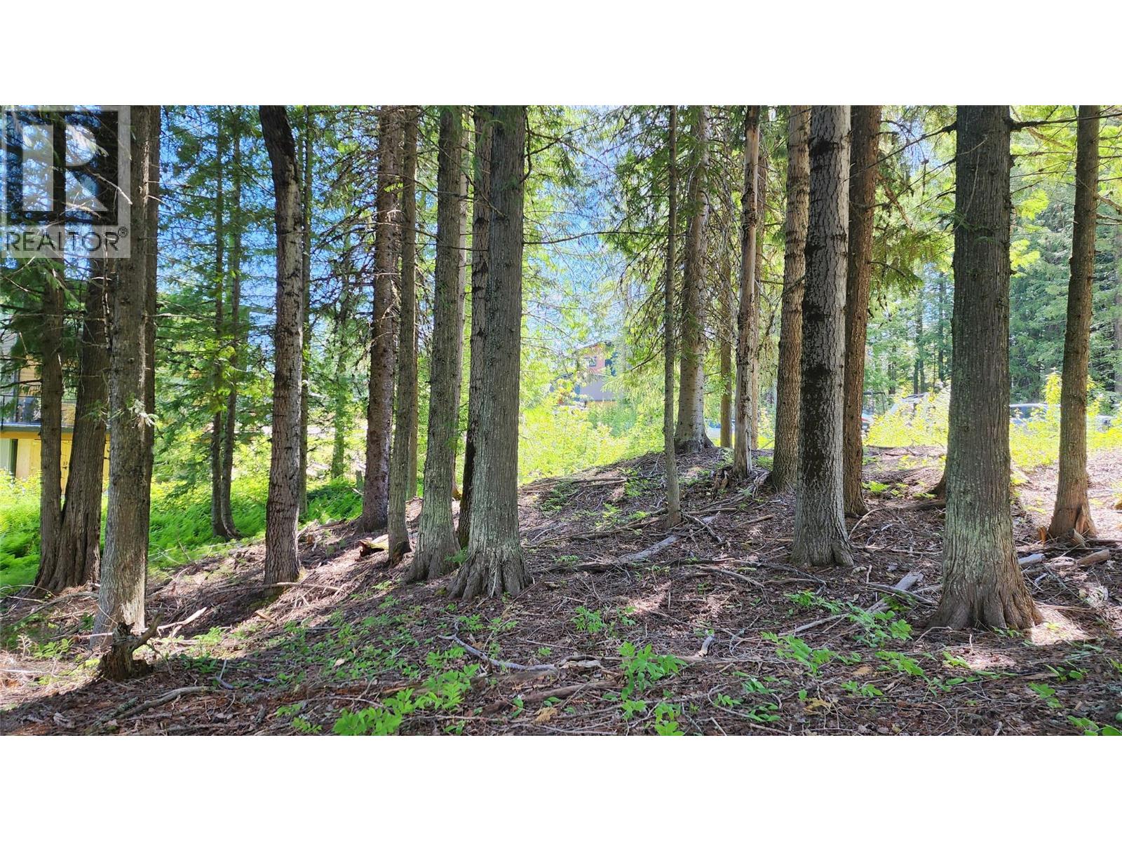 211 Cedar Creek Place, Rossland, British Columbia  V0G 1Y0 - Photo 8 - 10391402