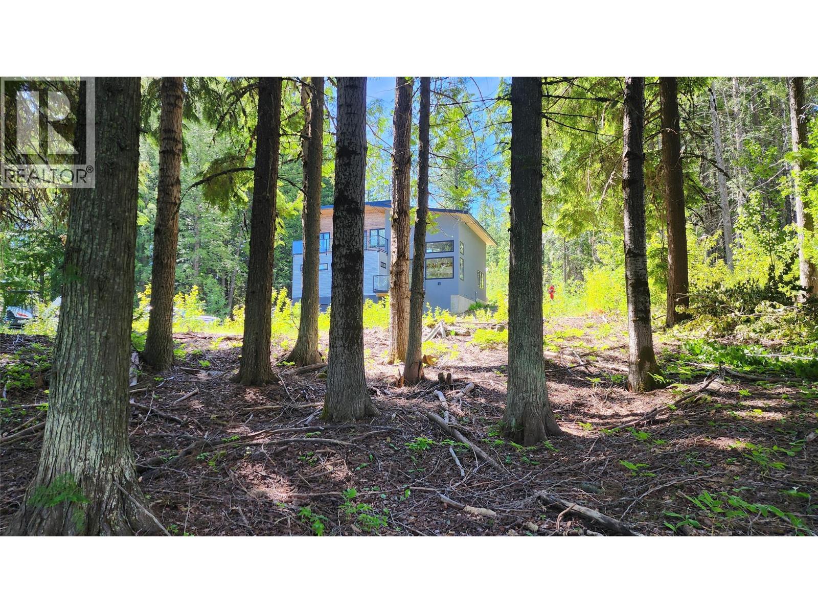 211 Cedar Creek Place, Rossland, British Columbia  V0G 1Y0 - Photo 11 - 10391402