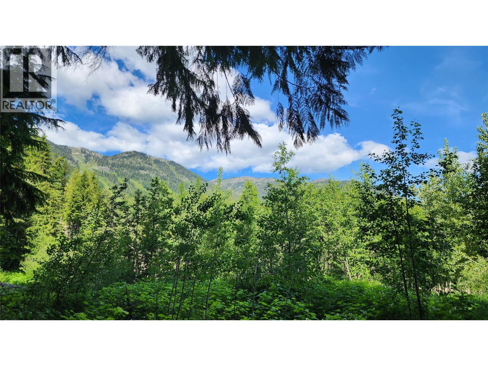 211 Cedar Creek Place, Rossland, British Columbia  V0G 1Y0 - Photo 10 - 10391402
