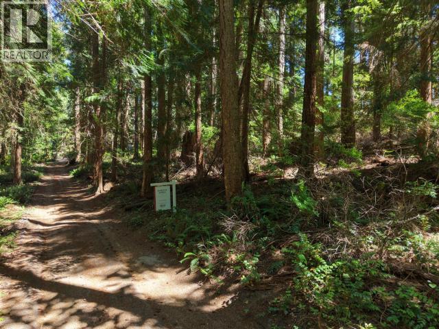 3198 Vancouver Blvd, Savary Island, British Columbia  V0N 2G0 - Photo 4 - 19986