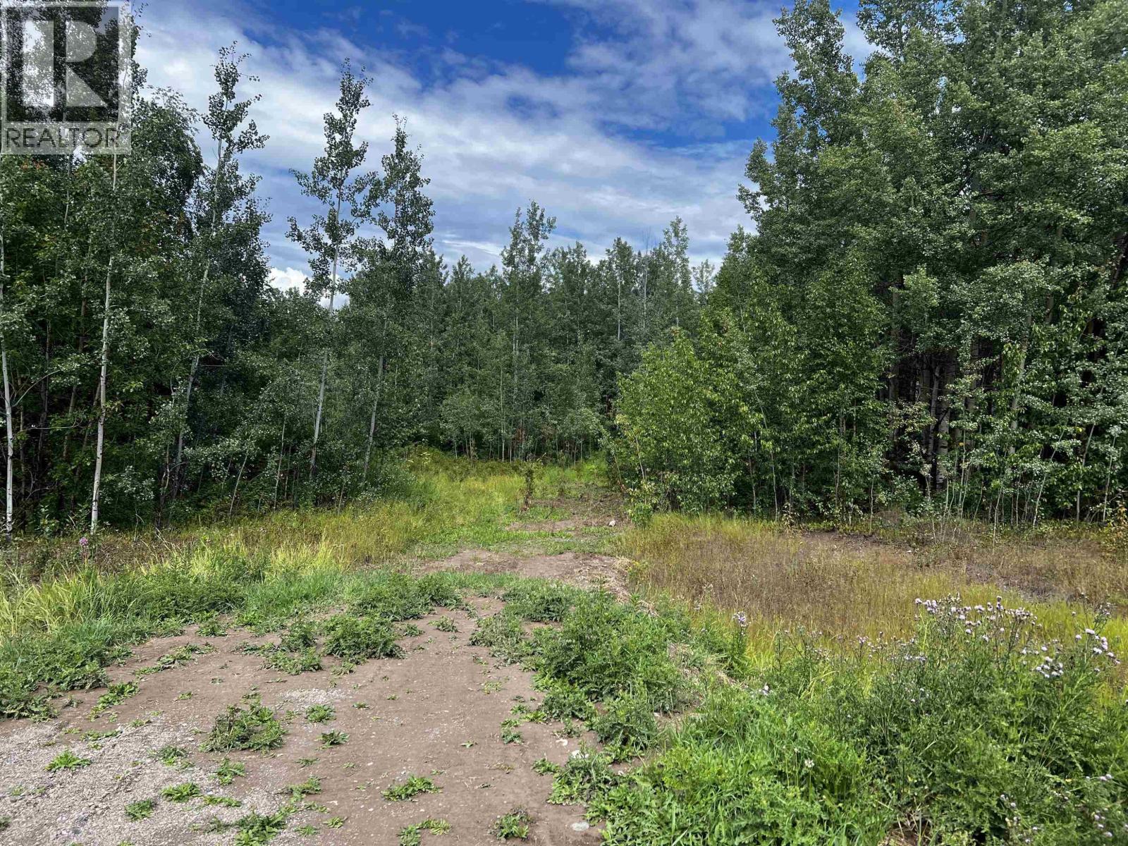 Lot A Dl 5084 Airport Road, Fraser Lake, British Columbia  V0J 1S0 - Photo 7 - R3137002