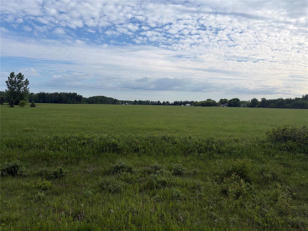 0 Mun 47n Road, Ste Anne Rm, Manitoba  R5H 1R2 - Photo 1 - 202614141