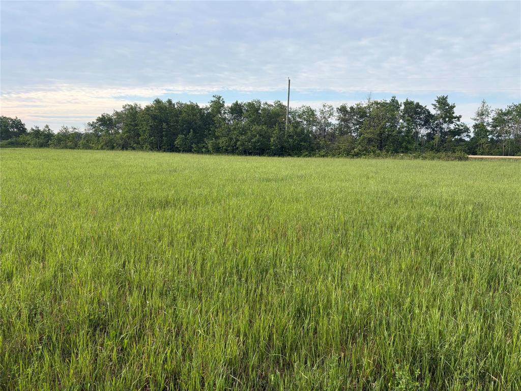 0 Mun 47n Road, Ste Anne Rm, Manitoba  R5H 1R2 - Photo 2 - 202614141