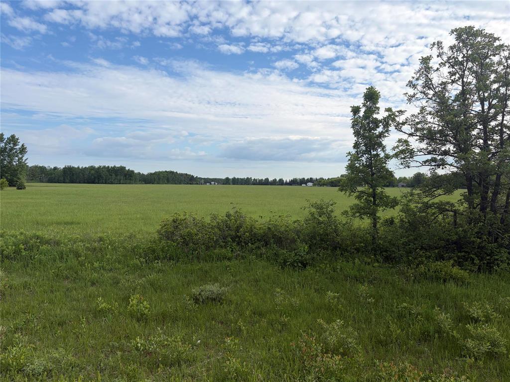 0 Mun 47n Road, Ste Anne Rm, Manitoba  R5H 1R2 - Photo 3 - 202614141