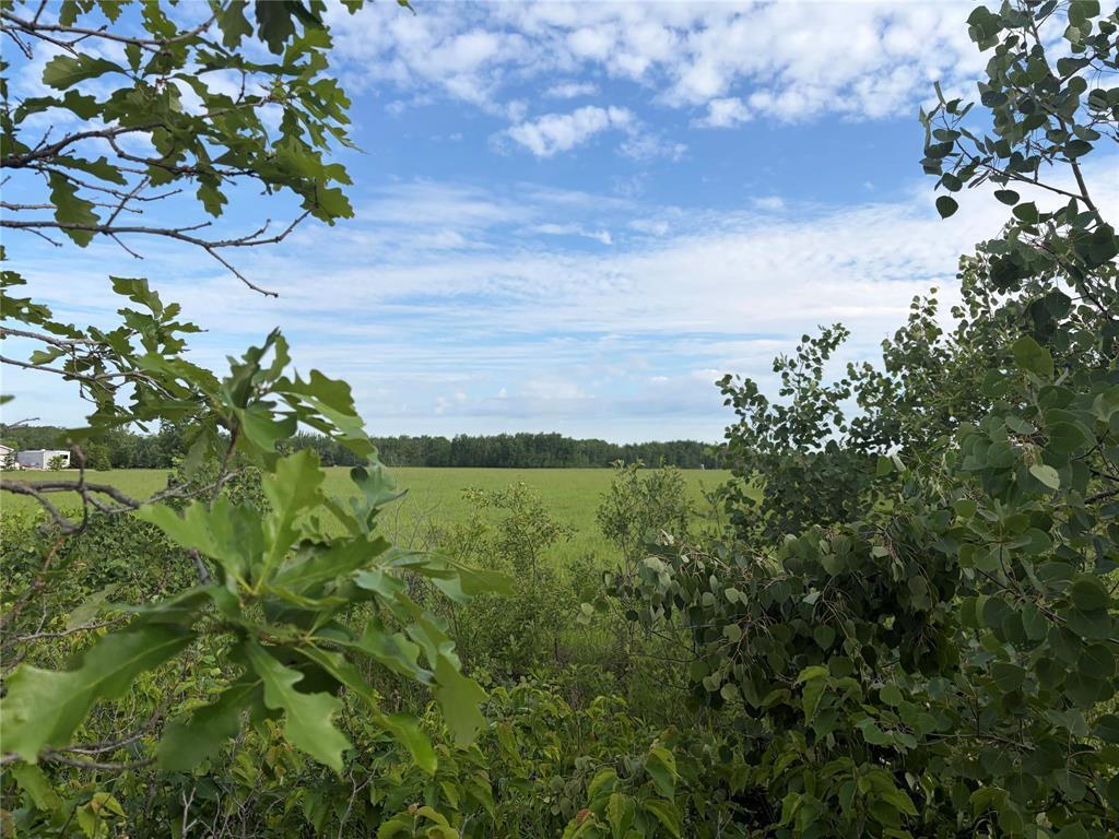 0 Mun 47n Road, Ste Anne Rm, Manitoba  R5H 1R2 - Photo 4 - 202614141