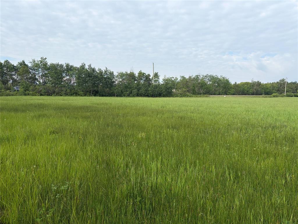 0 Mun 47n Road, Ste Anne Rm, Manitoba  R5H 1R2 - Photo 5 - 202614141