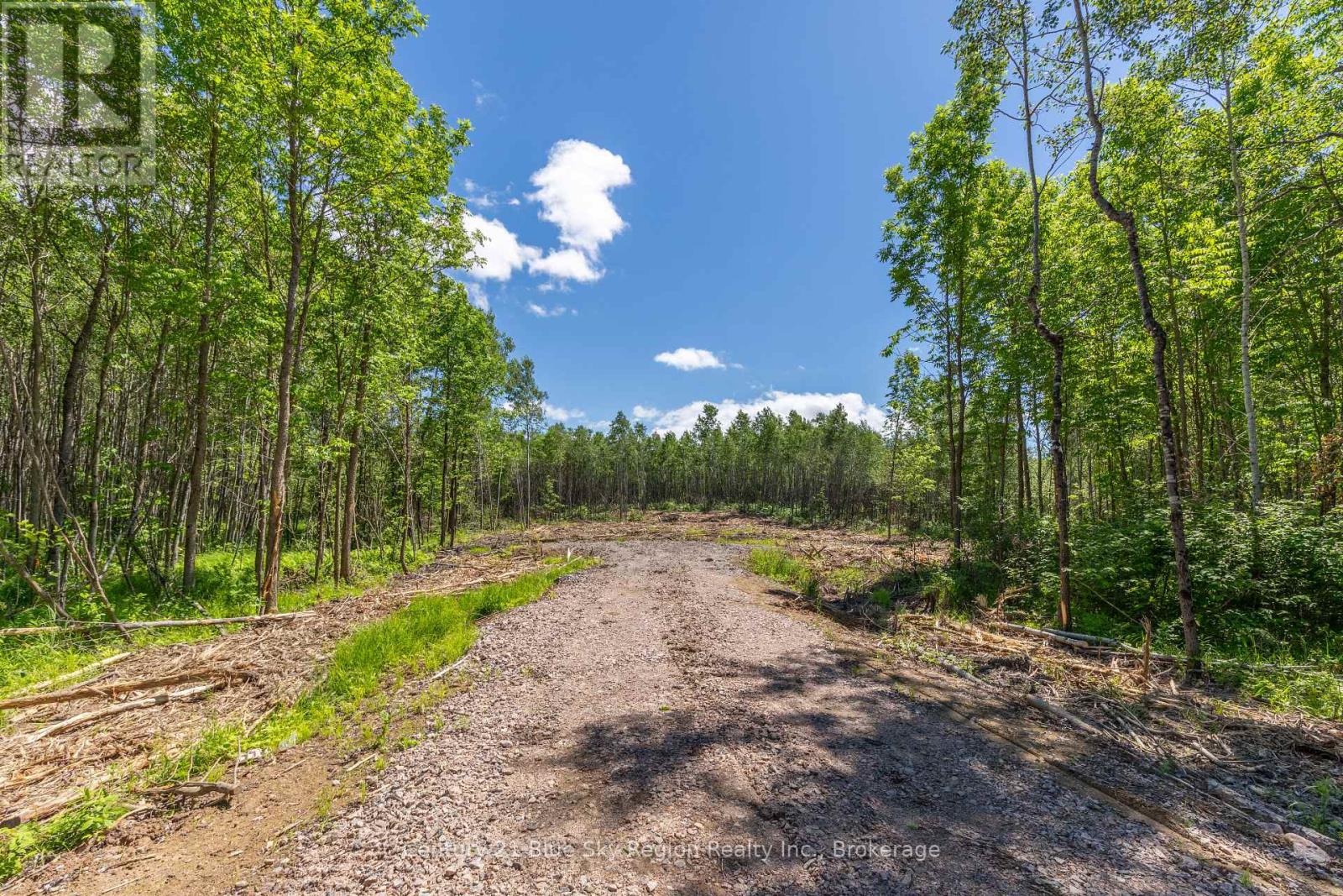 249 Hills Siding Road, Callander, Ontario  P0K 1H0 - Photo 4 - X13457690