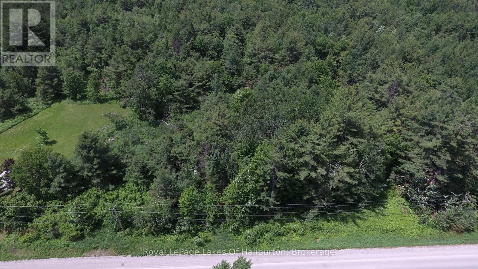 N/a County Road 121, Kawartha Lakes, Ontario  K0M 2A0 - Photo 2 - X13457876