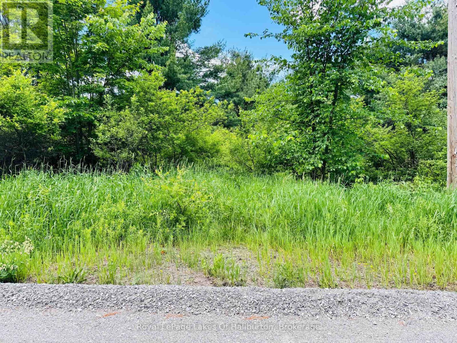 N/a County Road 121, Kawartha Lakes, Ontario  K0M 2A0 - Photo 3 - X13457876