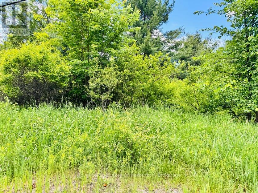 N/a County Road 121, Kawartha Lakes, Ontario  K0M 2A0 - Photo 4 - X13457876