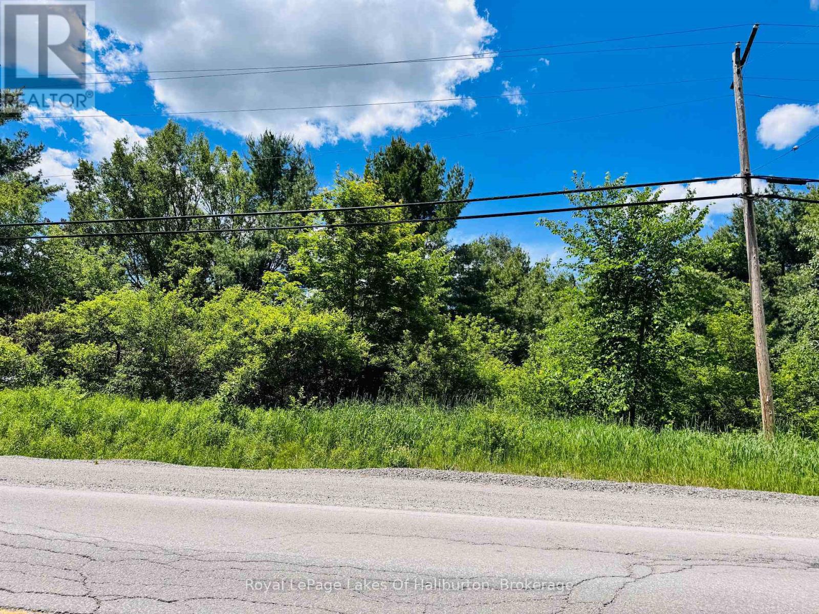 N/a County Road 121, Kawartha Lakes, Ontario  K0M 2A0 - Photo 5 - X13457876