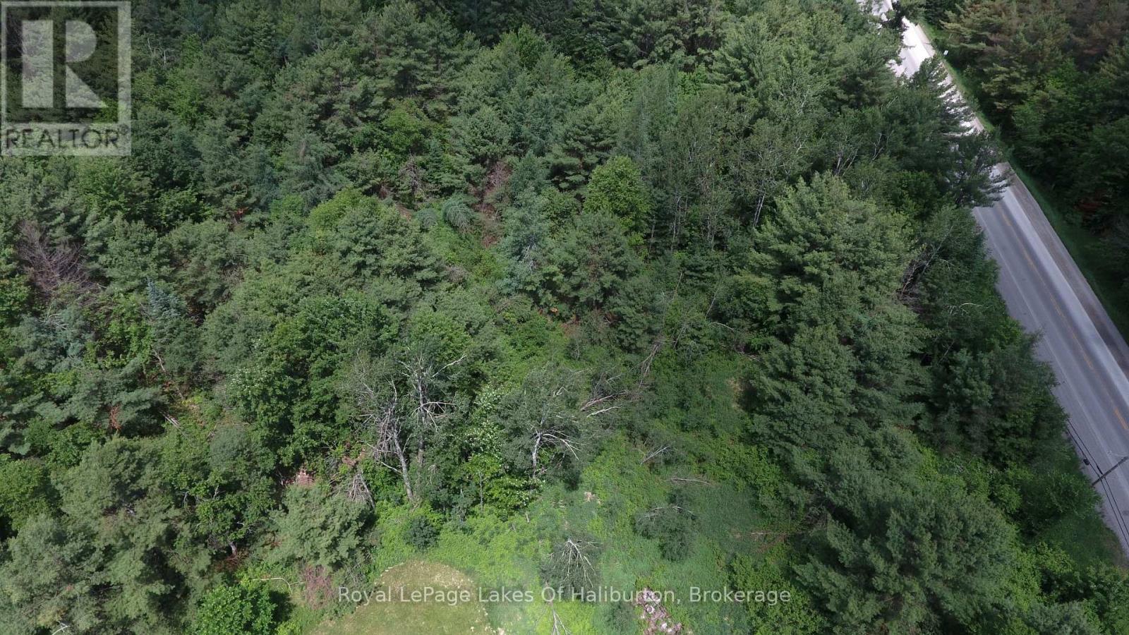 N/a County Road 121, Kawartha Lakes, Ontario  K0M 2A0 - Photo 6 - X13457876