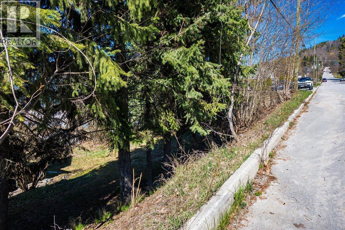 605 & 607 Gore Street, Nelson, British Columbia V1L 1Y2 - Photo 12 - 10383325