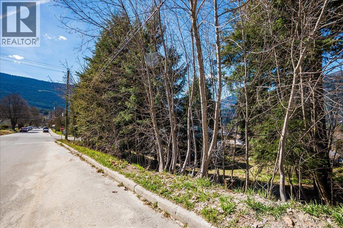 605 & 607 Gore Street, Nelson, British Columbia V1L 1Y2 - Photo 11 - 10383325