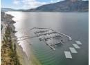 3475 Granite Close Close Unit# 210, Kelowna, BC V1V 0B9