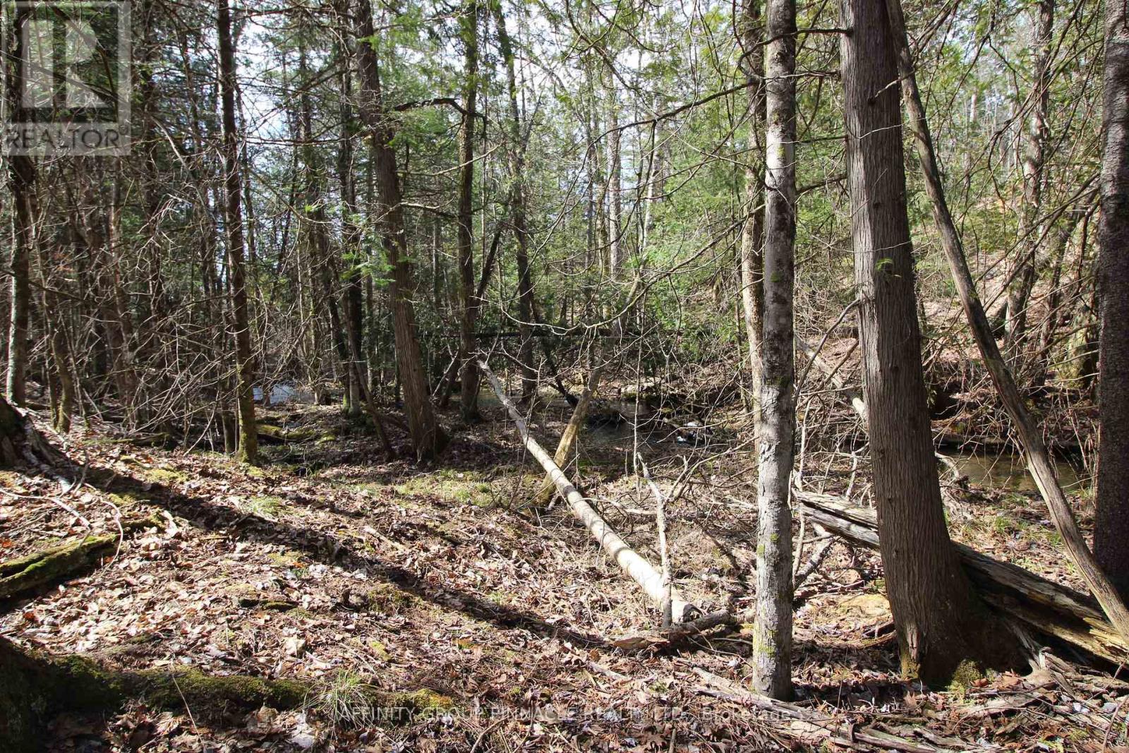 Lot 15 Concession 9, Trent Lakes, Ontario  K0L 1J0 - Photo 8 - X12476268