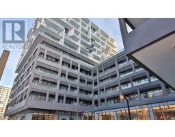 501 - 9 TECUMSETH STREET, Toronto, Ontario